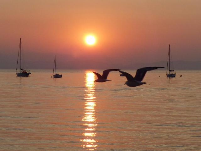 Le Surplage Hyères Exterior foto